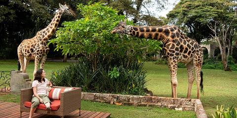 3-Day Masai Mara Private Luxury Safari