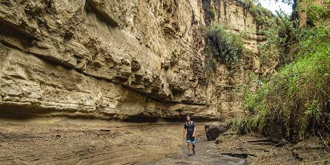 1-Day Hell's Gate NP and Lake Naivasha Excursion