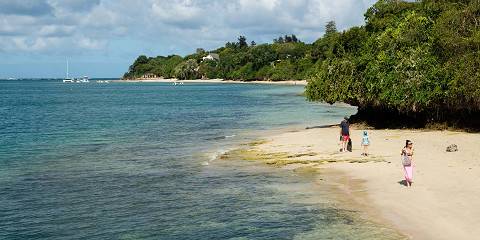 5-Day Coastal to Kilimanjaro Grand Safari