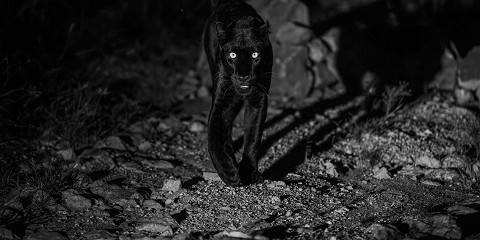 8-Day Journey Through Kenya's Best-Kept Secret