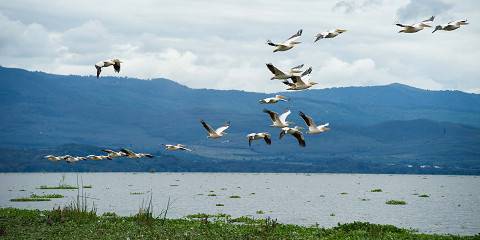 6-Day Kenyan Waters and Bush Exploration