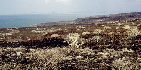 3-Day Lake Turkana Flying Safari