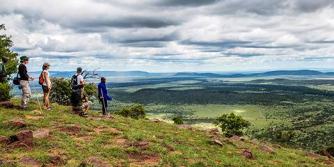 4-Day Mara Naboisho Conservancy Walking Safari