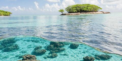 7-Day Safari and Beach Getaway