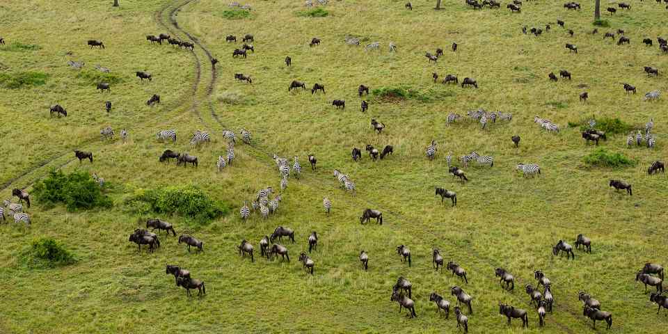 6-Day Week in the Wild-Great Lakes & Big Game