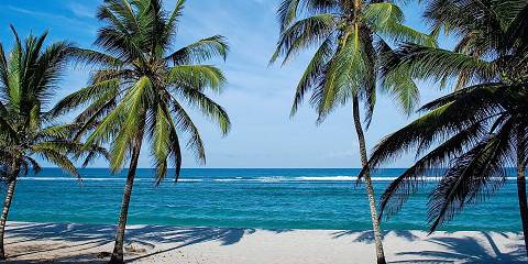 4-Day Watamu Beach Luxury Experience