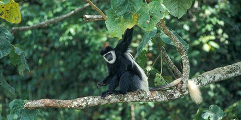 4-Day Wildlife, Wilderness & Culture