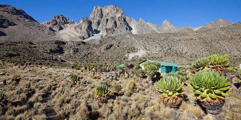 Mt Kenya Trekking Sirimon Route down Chogoria