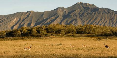 1-Day Mount Longonot and Lake Naivasha Tour