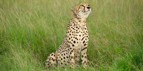5-Day Kenya Budget Tour from Mombasa