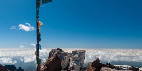 8-Day Absolute Wildlife and Beach Experience