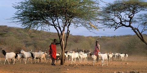 14-Day The Kenya Slow Safari & Purpose Journey