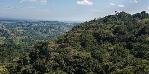 3-Day Shimba Hills National Reserve Elephants Sanctuary