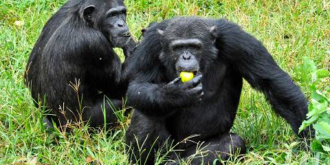 4-Day Peaks of Kenya 4x4 Adventure