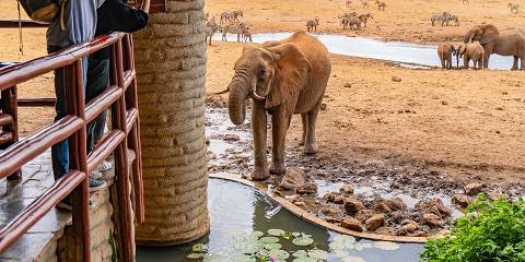 5-Day Grand Amboseli Tsavo East & West Luxury Adventure