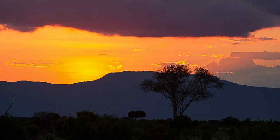 3-Day Tsavo Safari