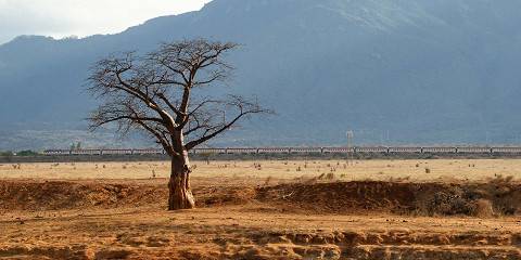 1-Day Tsavo East National Park from Malindi
