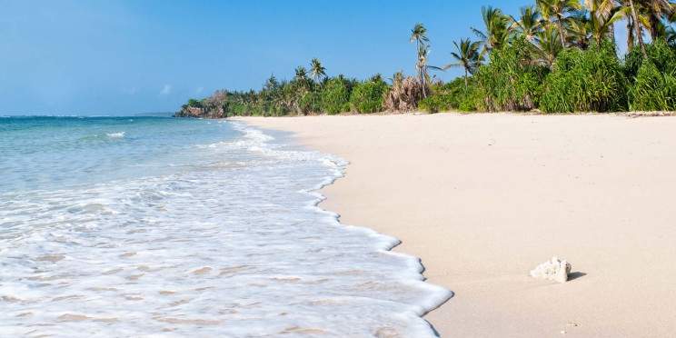 12-Day Wildlife to Coast - Masai Mara to Diani Beach