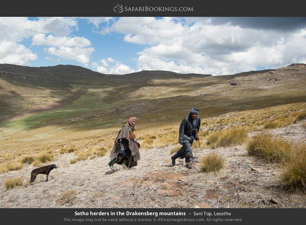 Sotho herders in the Drakensberg mountains in Sani Top, Lesotho