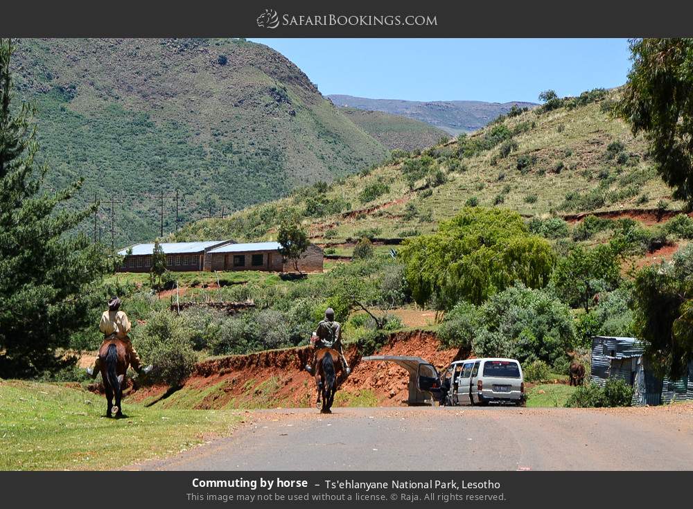 Commuting by horse in Ts'ehlanyane National Park, Lesotho