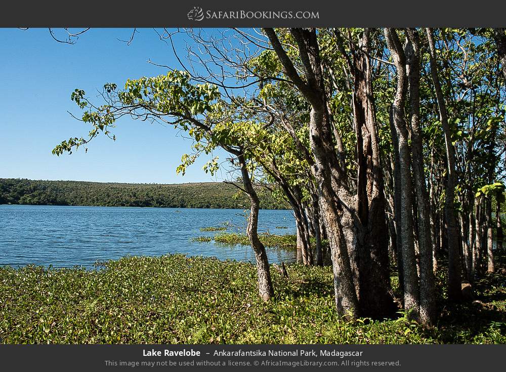 Lake Ravelobe in Ankarafantsika National Park, Madagascar