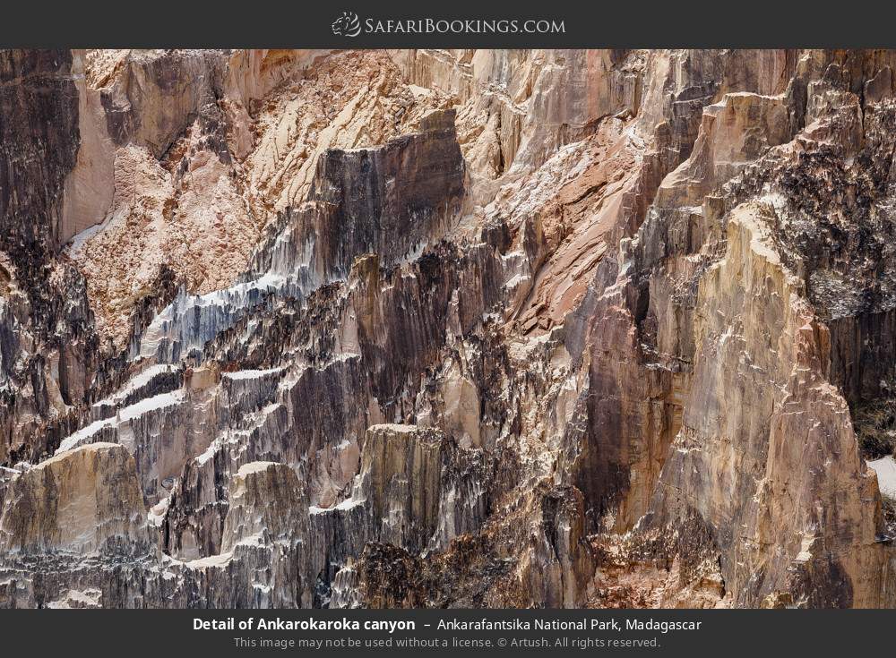 Detail of Ankarokaroka canyon in Ankarafantsika National Park, Madagascar
