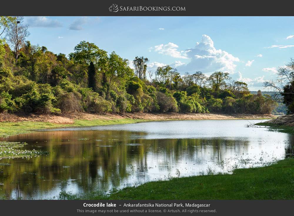 Crocodile lake in Ankarafantsika National Park, Madagascar