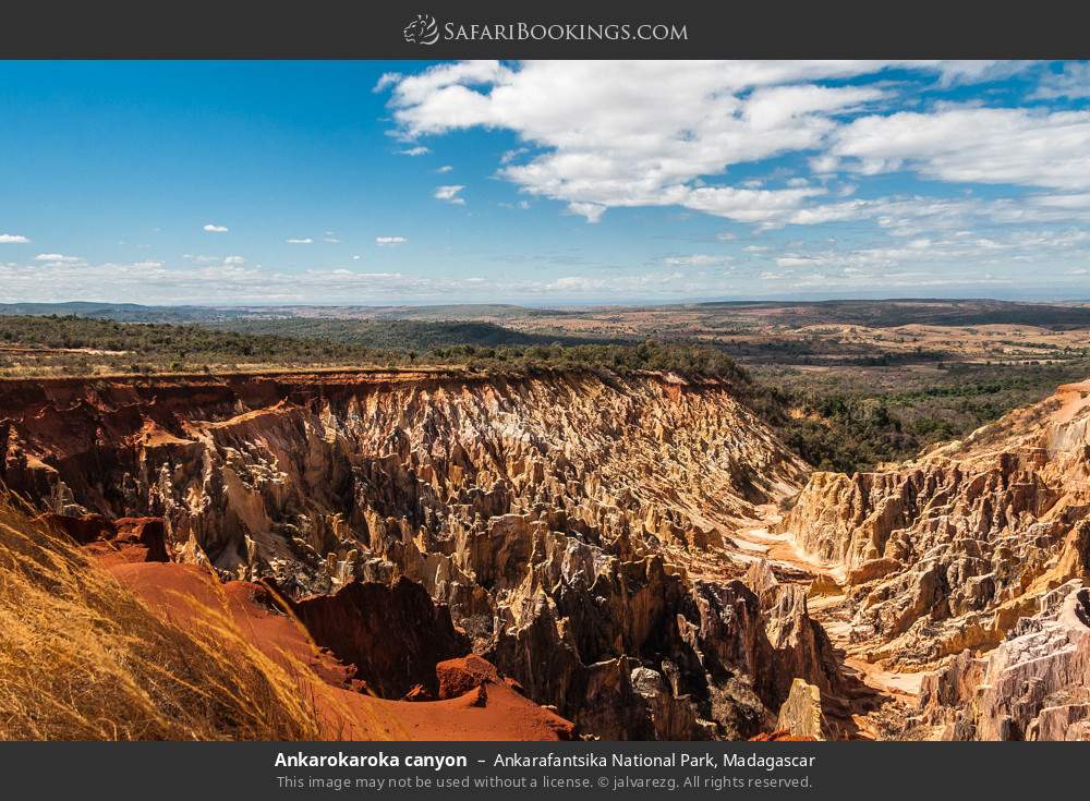 Ankarokaroka canyon in Ankarafantsika National Park, Madagascar