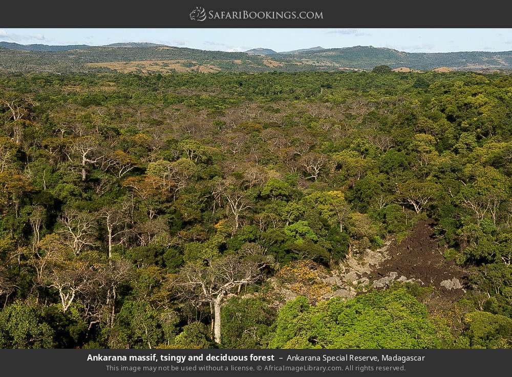 Ankarana massif, tsingy and deciduous forest in Ankarana Special Reserve, Madagascar