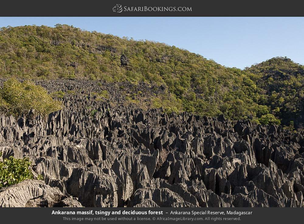 Ankarana massif, tsingy and deciduous forest in Ankarana Special Reserve, Madagascar