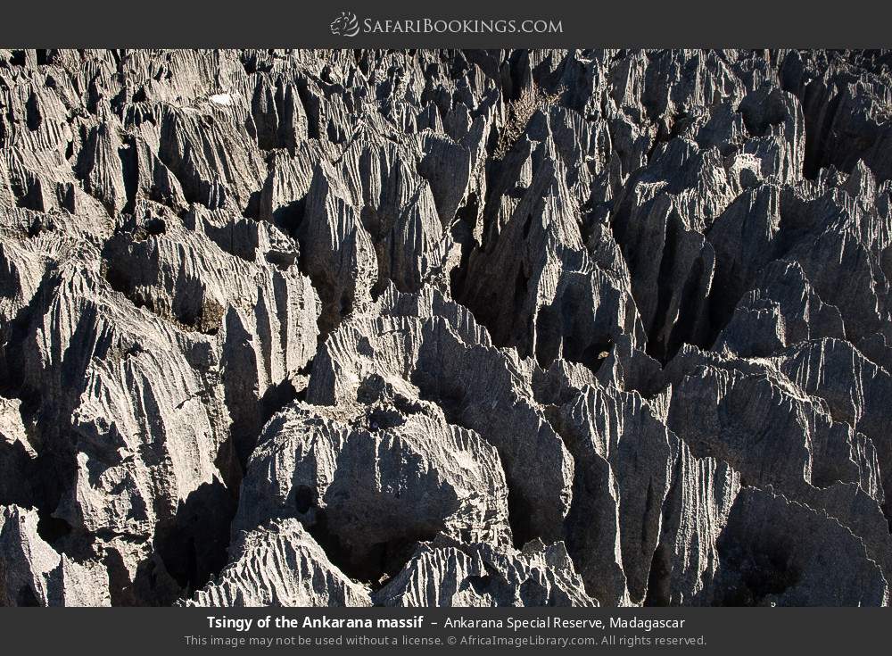 Tsingy of the Ankarana massif in Ankarana Special Reserve, Madagascar