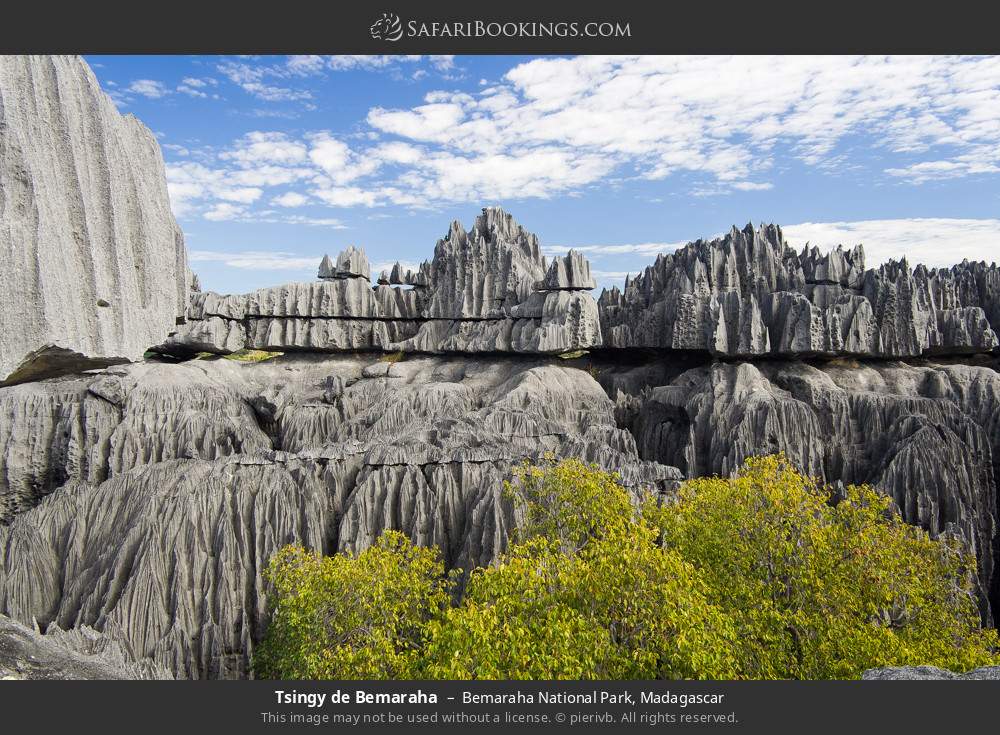Tsingy de Bemaraha in Bemaraha National Park, Madagascar