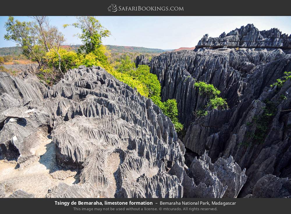 Tsingy de Bemaraha, limestone formation in Bemaraha National Park, Madagascar