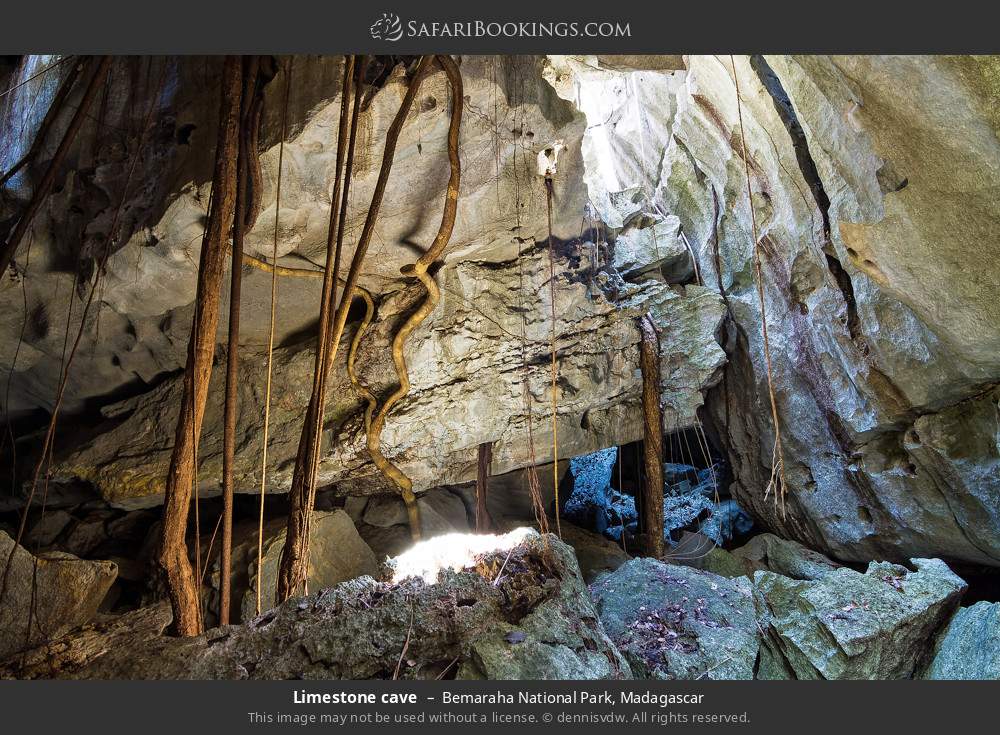 Limestone cave in Bemaraha National Park, Madagascar