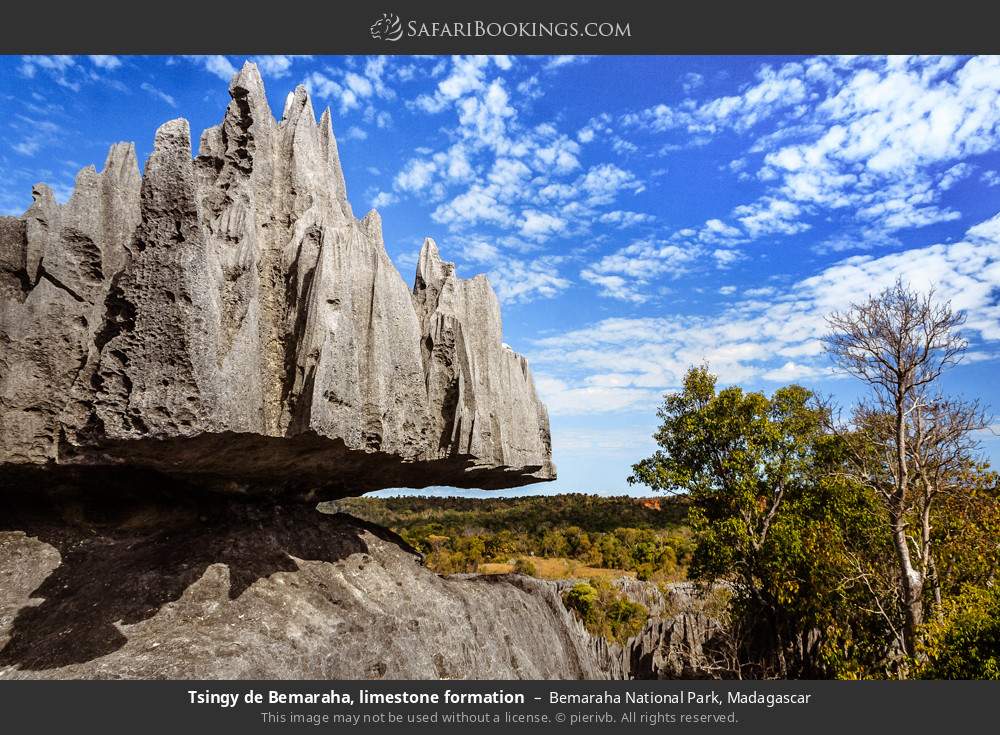 Tsingy de Bemaraha, limestone formation in Bemaraha National Park, Madagascar