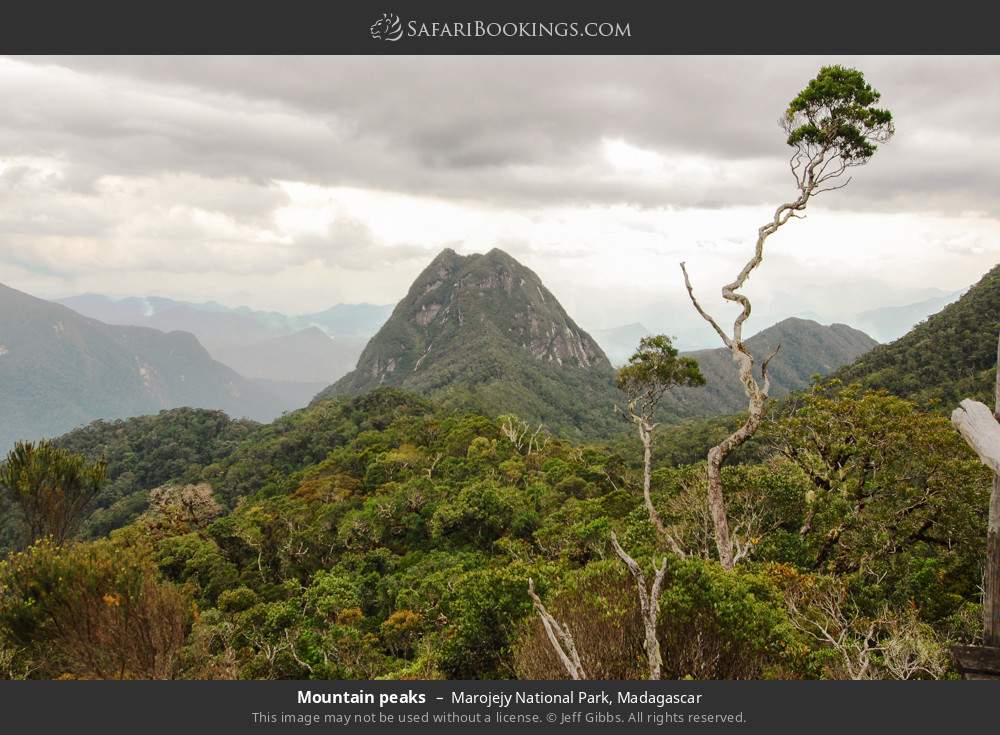 Mountain peaks in Marojejy National Park, Madagascar