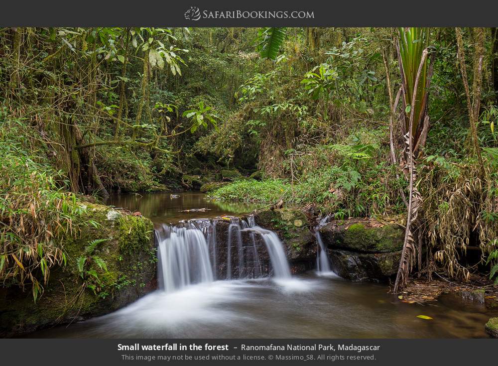 Small waterfall in the forest in Ranomafana National Park, Madagascar