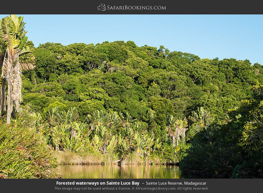 Forested waterways on Sainte Luce Bay in Sainte Luce Reserve, Madagascar