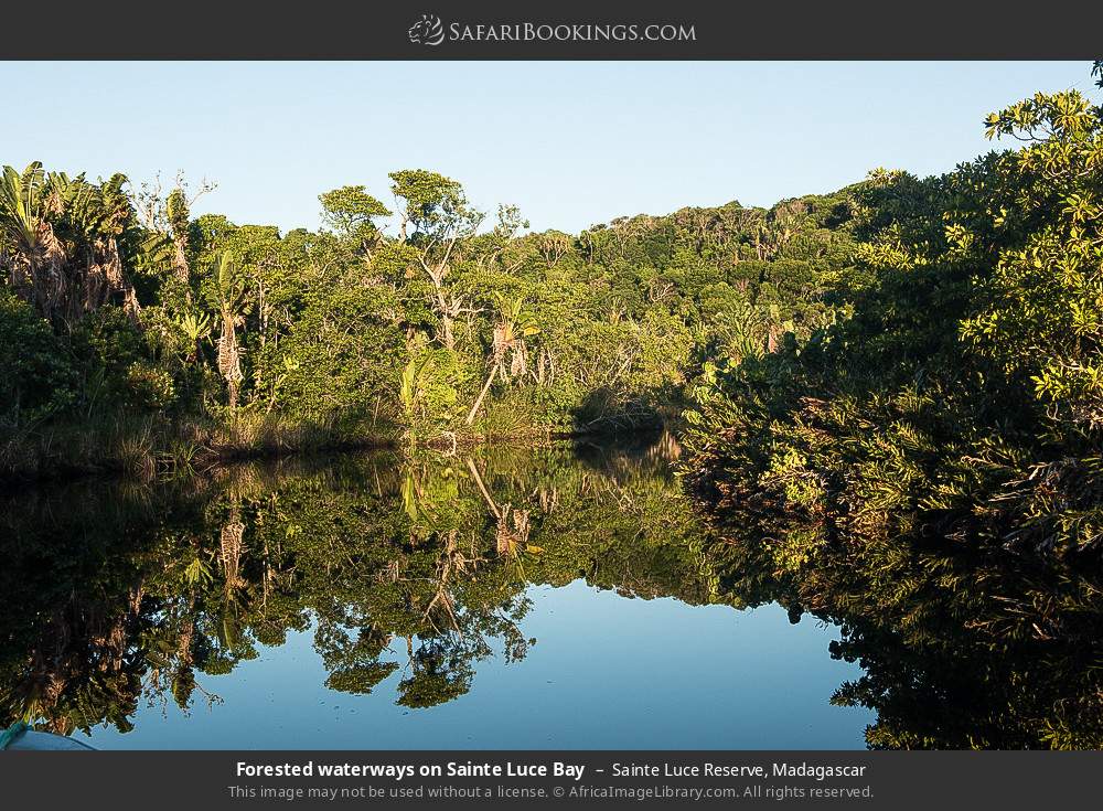 Forested waterways on Sainte Luce Bay in Sainte Luce Reserve, Madagascar
