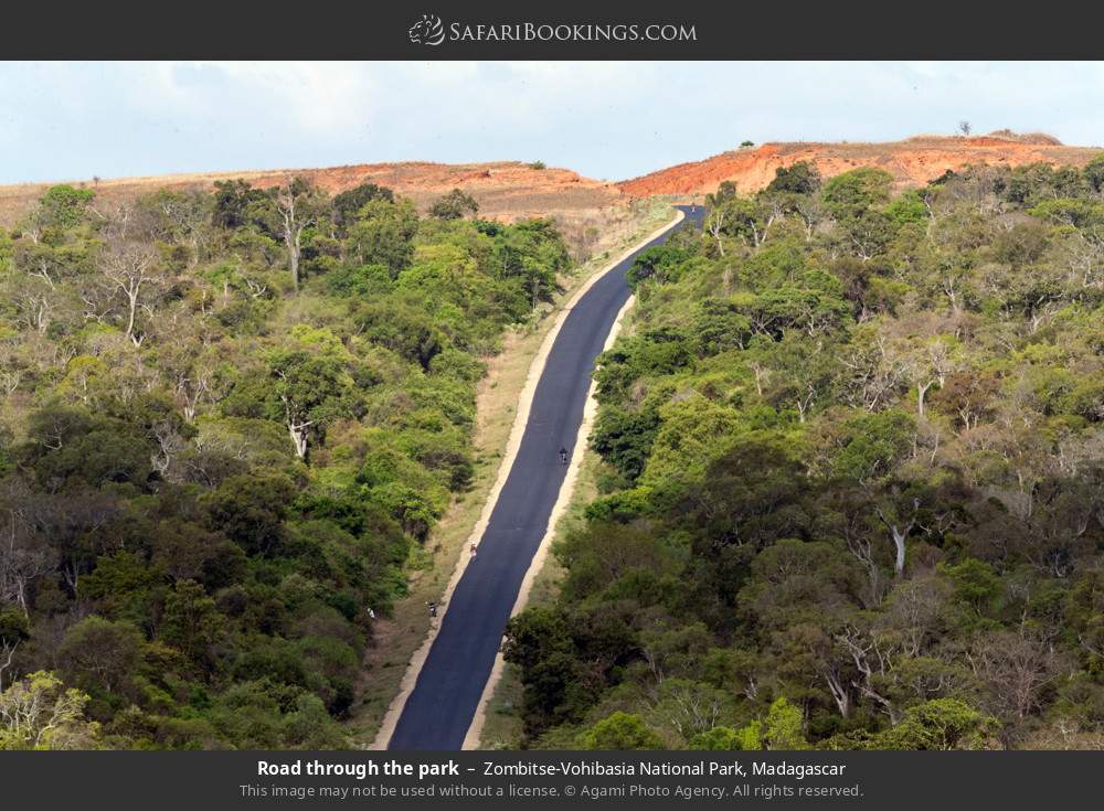 Road through the park in Zombitse-Vohibasia National Park, Madagascar