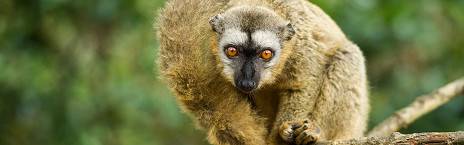 12 Days Madagascar Luxury Tour