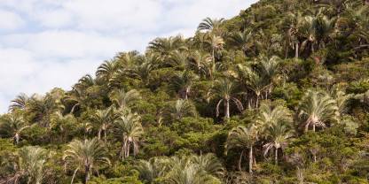Andohahela National Park