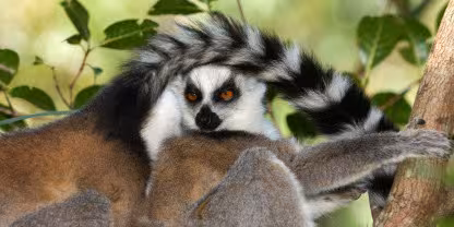 Isalo National Park