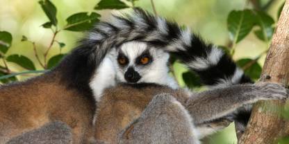 Isalo National Park