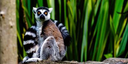 Tsimanampetsotsa National Park