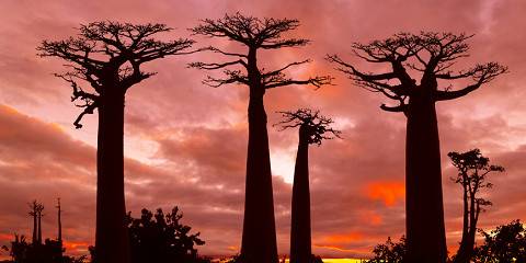 madagascar tourism in december