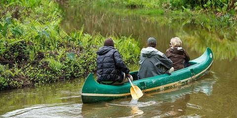 6-Day From Antananarivo to Tamatave & Andasibe