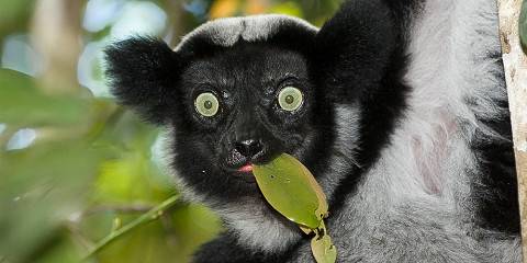 madagascar nature tourism