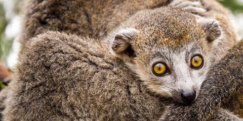 4-Day Wildlife Discovery Tour