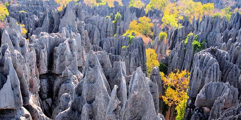 13-Day Expedition Tsiribihina River Baobab and Tsingy